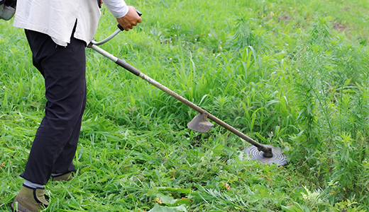 環境整備（草刈り）